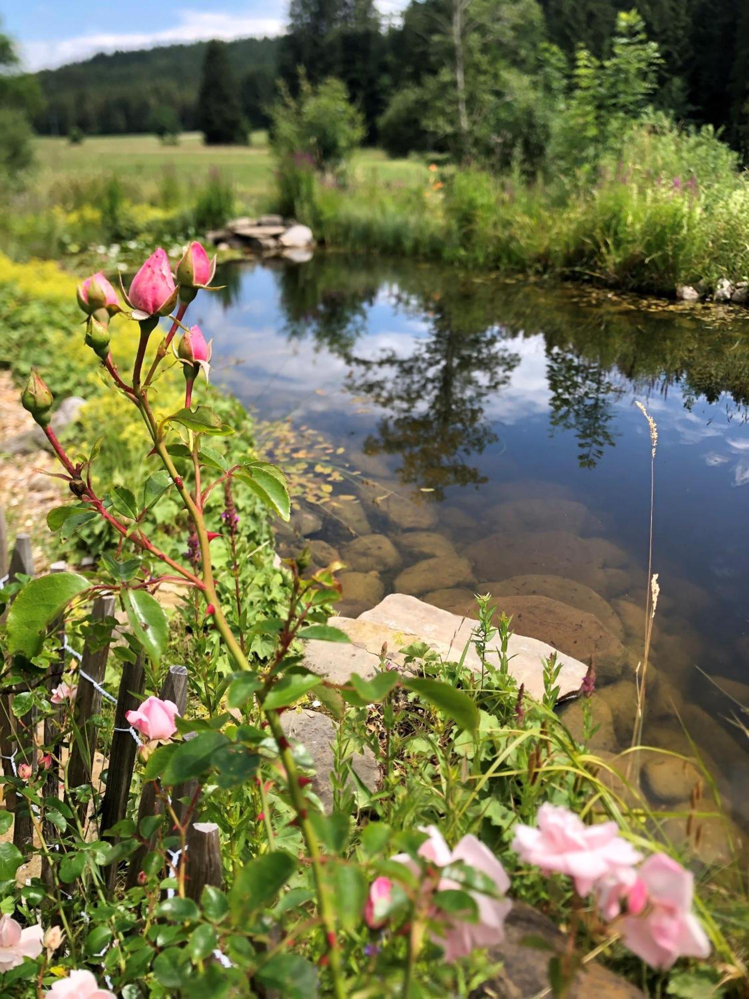 Natur- & Aktivoase Buchenberg  Buitenkant foto