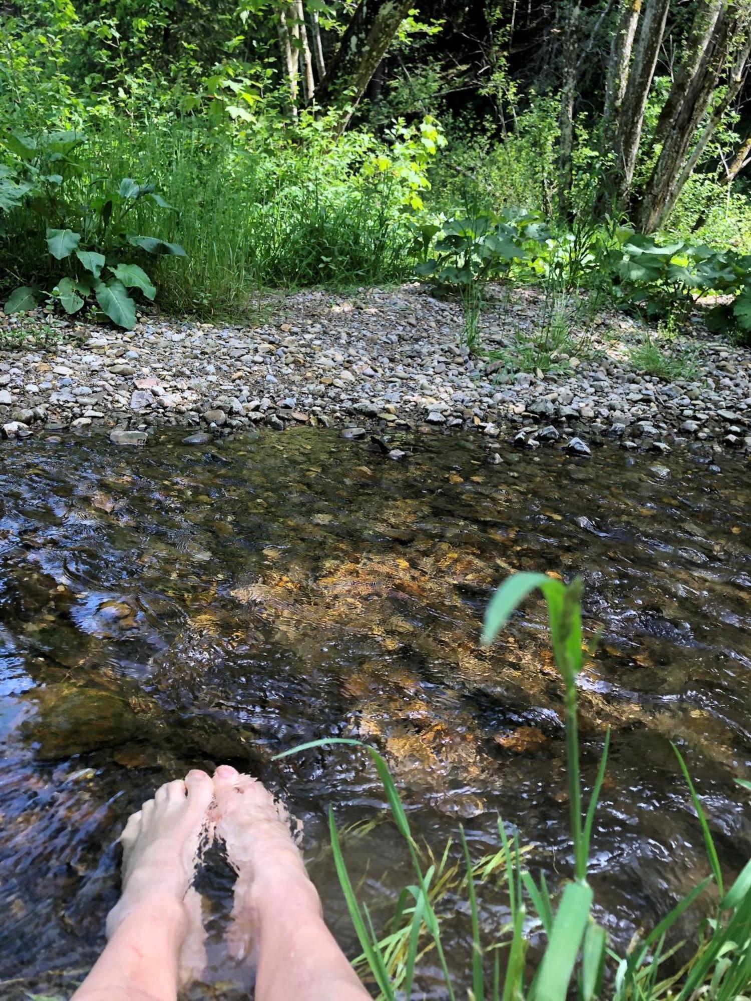 Natur- & Aktivoase Buchenberg  Buitenkant foto